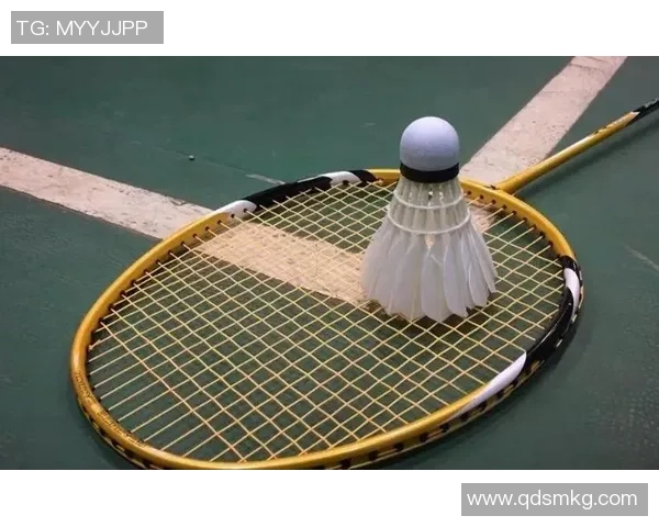 北京羽毛球队力量争议引发热议球迷与专家观点碰撞激烈