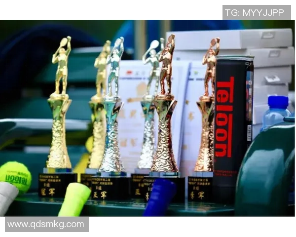 南京网球队与成都网球队耐力较量赛后分析与反思